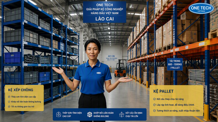 So sánh kệ xếp chồng với kệ chứa pallet tại Lào Cai So sánh kệ xếp chồng và kệ pallet racking cho kho Lào Cai